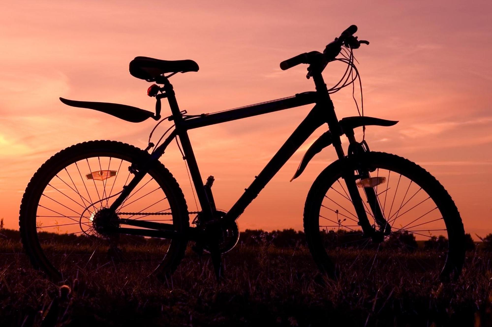 The Space Large House In Afan Forest Bike Park By Staystaycations بورت تالبوت المظهر الخارجي الصورة